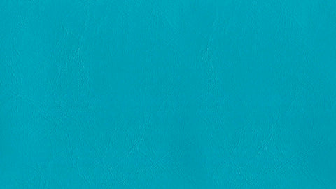 Zander Premium Vinyl - Aquamarine