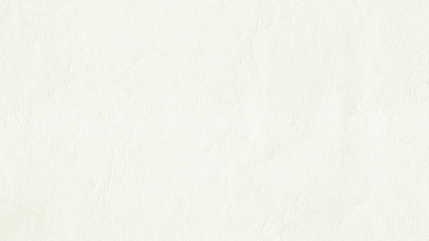 Zander Premium Vinyl - Brilliant White
