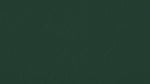 Zander Premium Vinyl - Forest