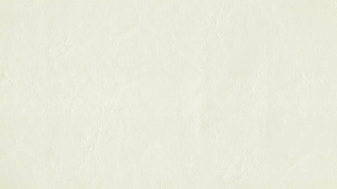 Zander Premium Vinyl - Off White