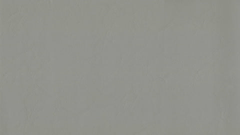 Zander Premium Vinyl - Pearl Grey