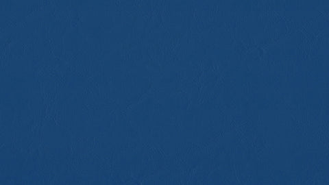 Zander Premium Vinyl - True Blue