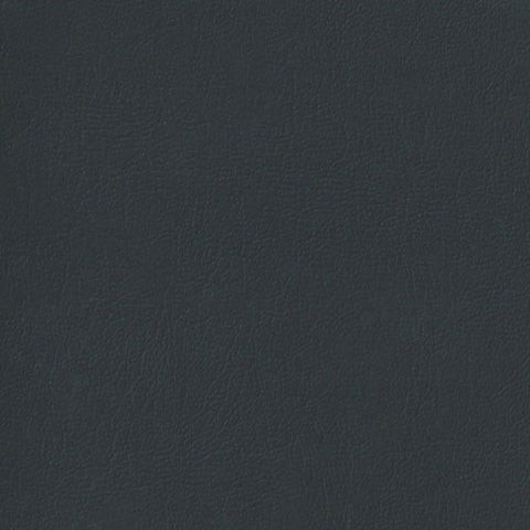 Auto Revolution Vinyl:  Caprice in Dark Slate