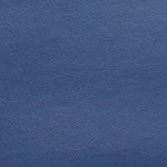 Esprit Premium Vinyl - Blue Ridge